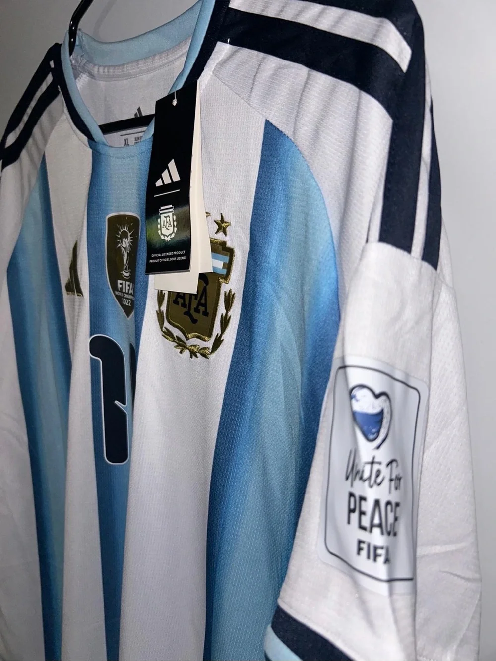 Argentina 2026 World Cup Home Jersey ( Fan Version ) #10 Messi